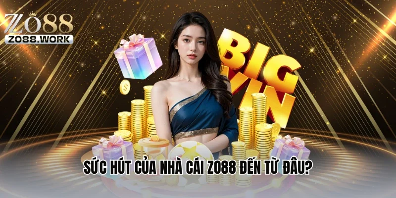 Sức hút của nhà cái Zo88 đến từ đâu?